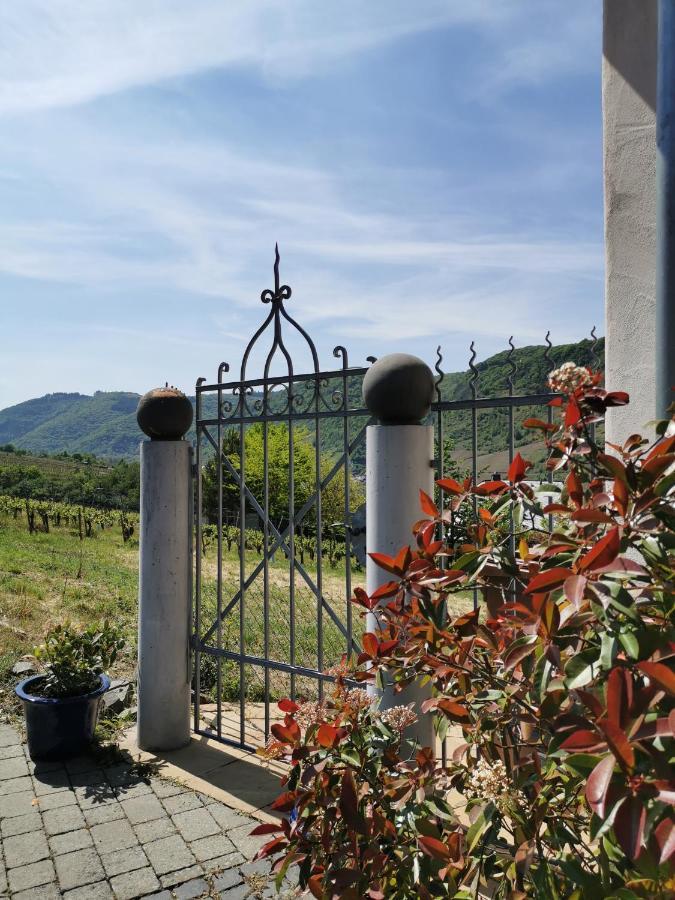 Weingut Amlinger&Sohn Διαμέρισμα Neef Εξωτερικό φωτογραφία